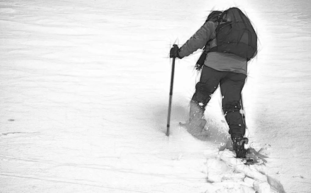 Orient-Snowshoes-Light-Weight-Aluminum-Shoes-for-Snow.webp (6)